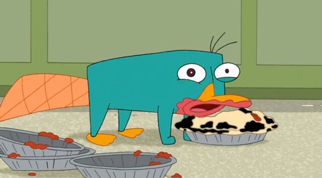 File:Shocked Perry 2.jpg