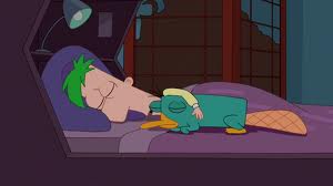 Ficheiro:Ferb e perry.jpg