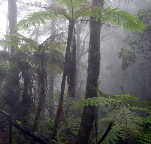 File:Humidity.jpg