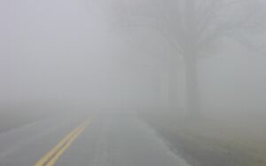 Fog