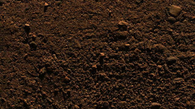 File:Dirt.jpg
