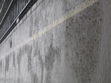 Datei:Regen.jpg