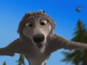 SALTY'S FLYING.jpg
