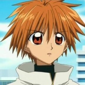 Kaito