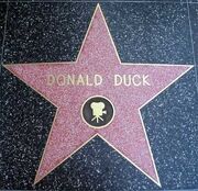 Donald-Duck-s-Star-on-the-Walk-of-Fame-donald-duck-7882050-400-387.jpg