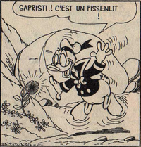Herbe-à-je-veux.png