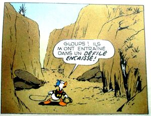 CIMG1990