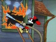 Wdt-mickey-77.jpg