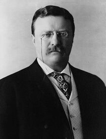 Théodore Roosevelt, 1904.jpg
