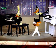 249281 roger rabbit.jpg
