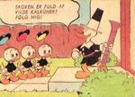 Clogs.6.jpg