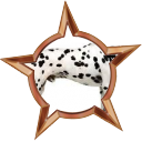 Plik:Badge-introduction.png