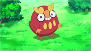 Laura's Darumaka