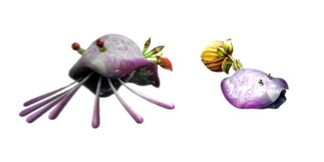 File:Molluskings.jpg