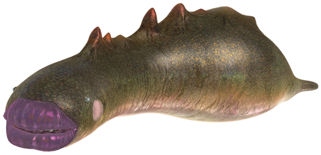 File:Sandbelching meerslug.png