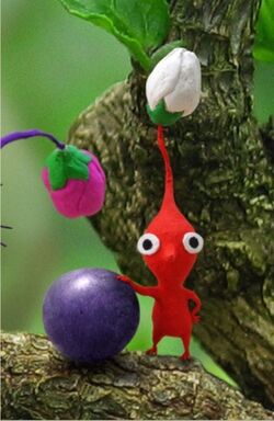 Pikmin2RossoCopertina