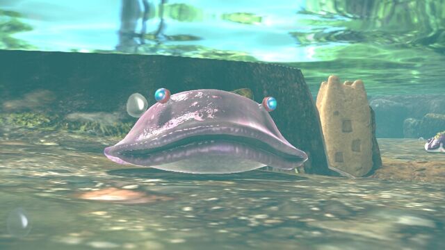 File:High-ass-slug.jpg