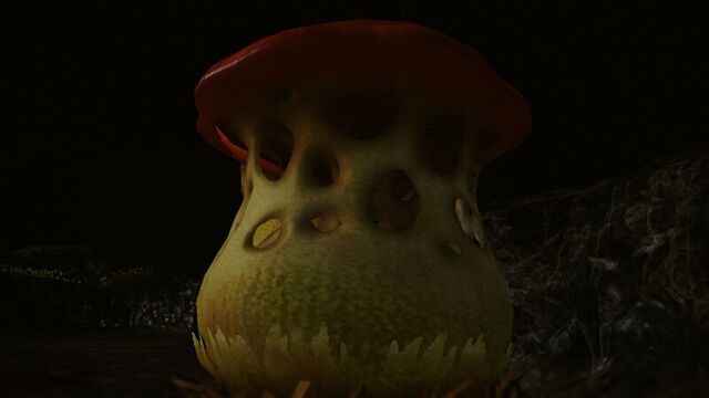 File:Kingcap2.jpeg