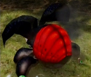 Crustabitze2