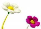 File:PikFlowers.PNG