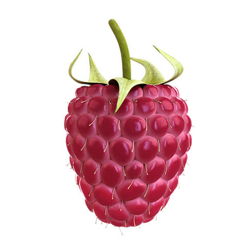 File:Raspberry one 3 .jpg5717cbf1-8a64-45ad-9400-77f901db9cafLarger.jpg