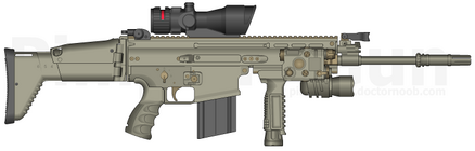SCAR-L Custom