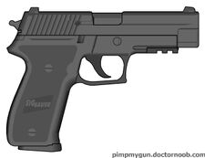 SW-P226