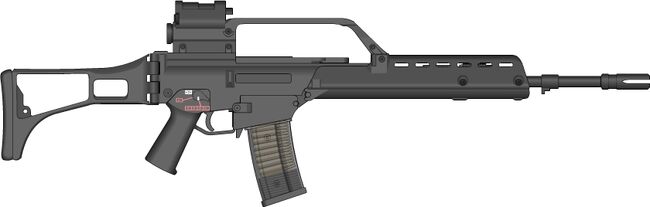 G36
