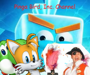 Pinga Bird, Inc. Channel New Poster
