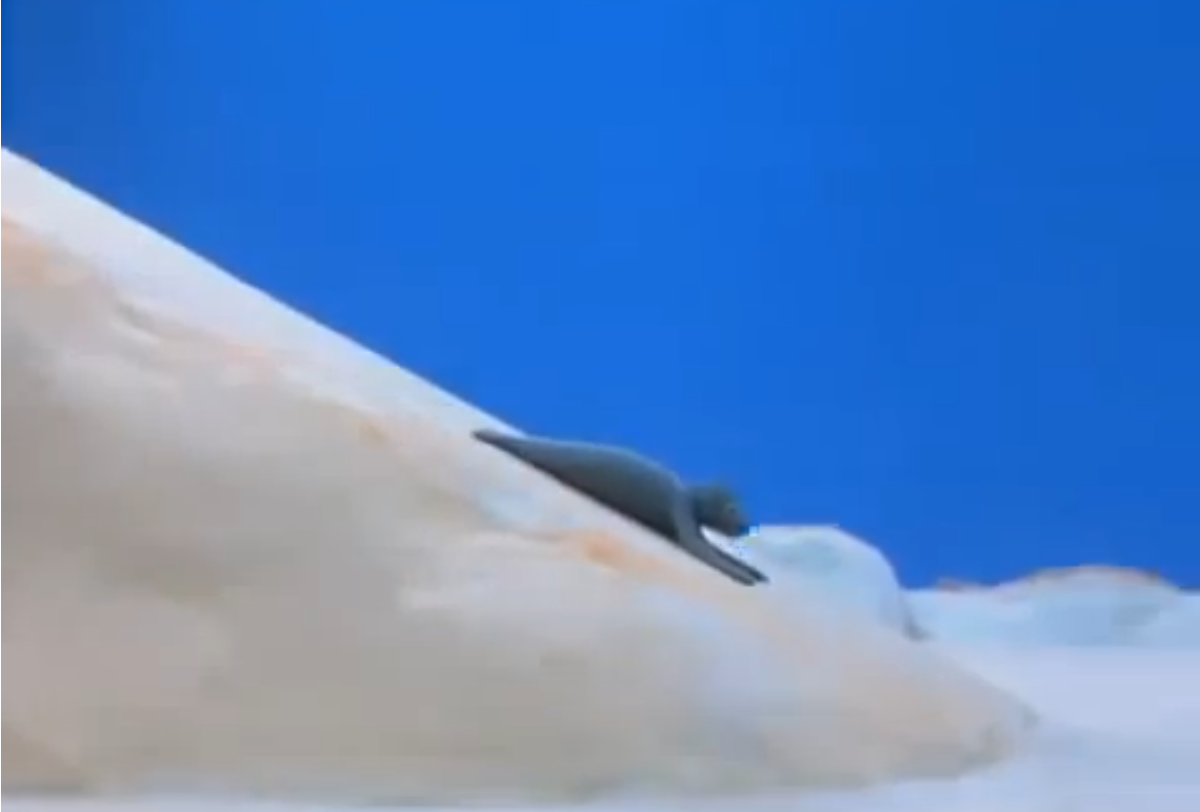 Robby Pingu Wiki Fandom Powered By Wikia Robby Pingu Wiki Fandom Powered By Wikia