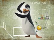 320px-Kowalski.jpg