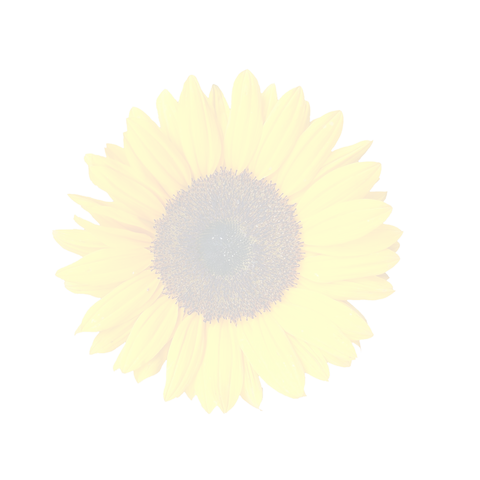 File:Sunflower bg image2.png