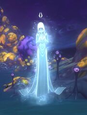 Drusera7