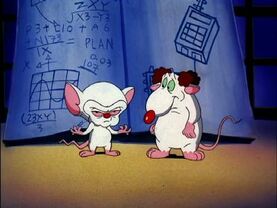 Brain and Larry