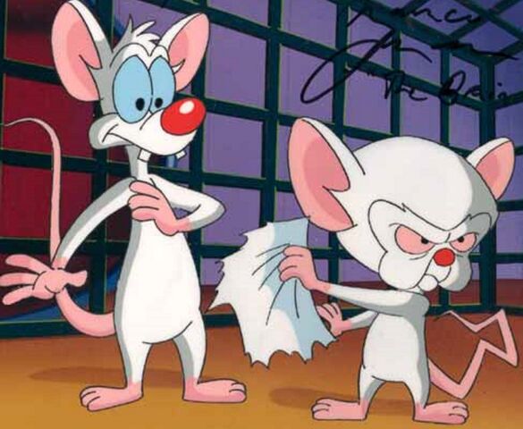 File:.028 Pinky Brain & Zachary 28 24 28 25 22 20 25.jpg