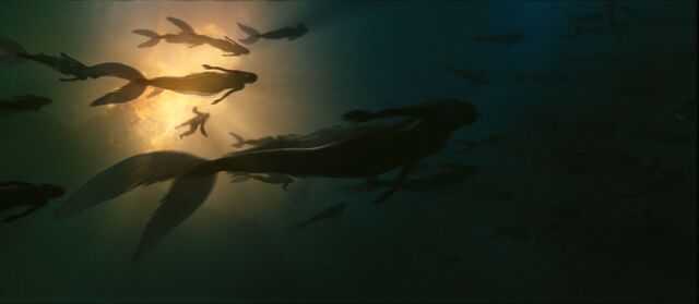 File:Mermaidsescapingpromo.jpg