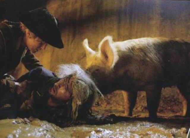 File:NorringtonPigPromo.jpg