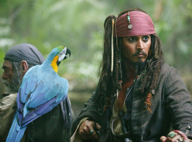 File:Jack parrot.jpg