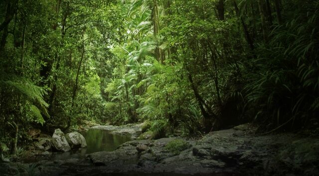 File:OSTsite-jungle.jpg
