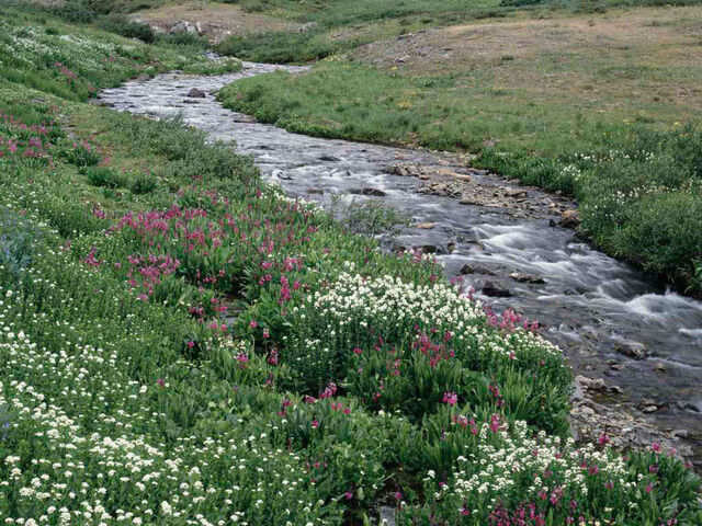 File:Creek.jpg