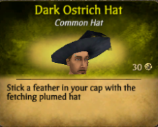 File:Dark ostrich hat.png