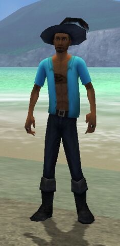 File:SoarBeach.jpg