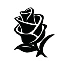 File:Pir t shp log rose.jpg