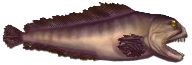 File:Fish 11.png