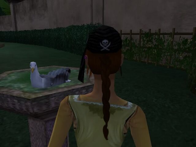 File:Birdie.jpg