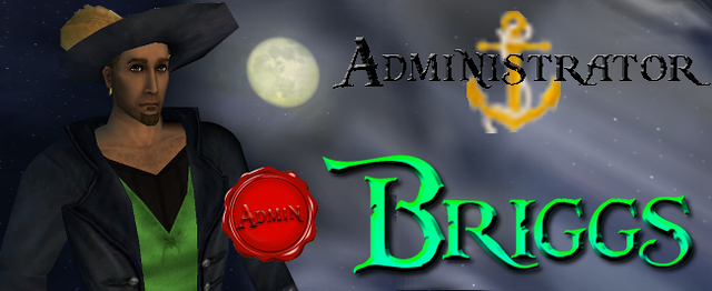 File:BriggsBannerNight.png