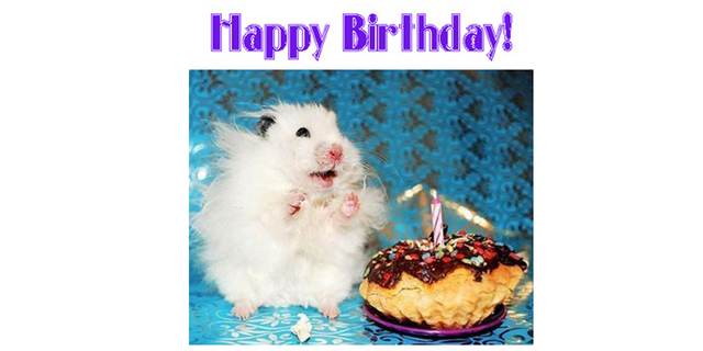 File:Birthday.png