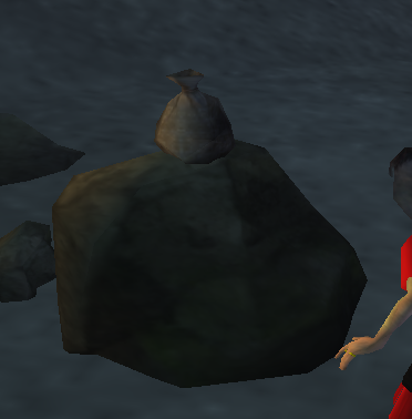 File:Pouch on a rock.PNG