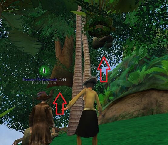 File:Floatingtreeandrocks.jpg