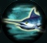 Marlin